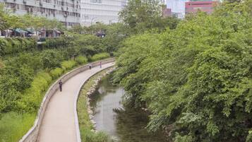A pathway alongside a water body with dense greenery, a stone wall, and buildings in the background.