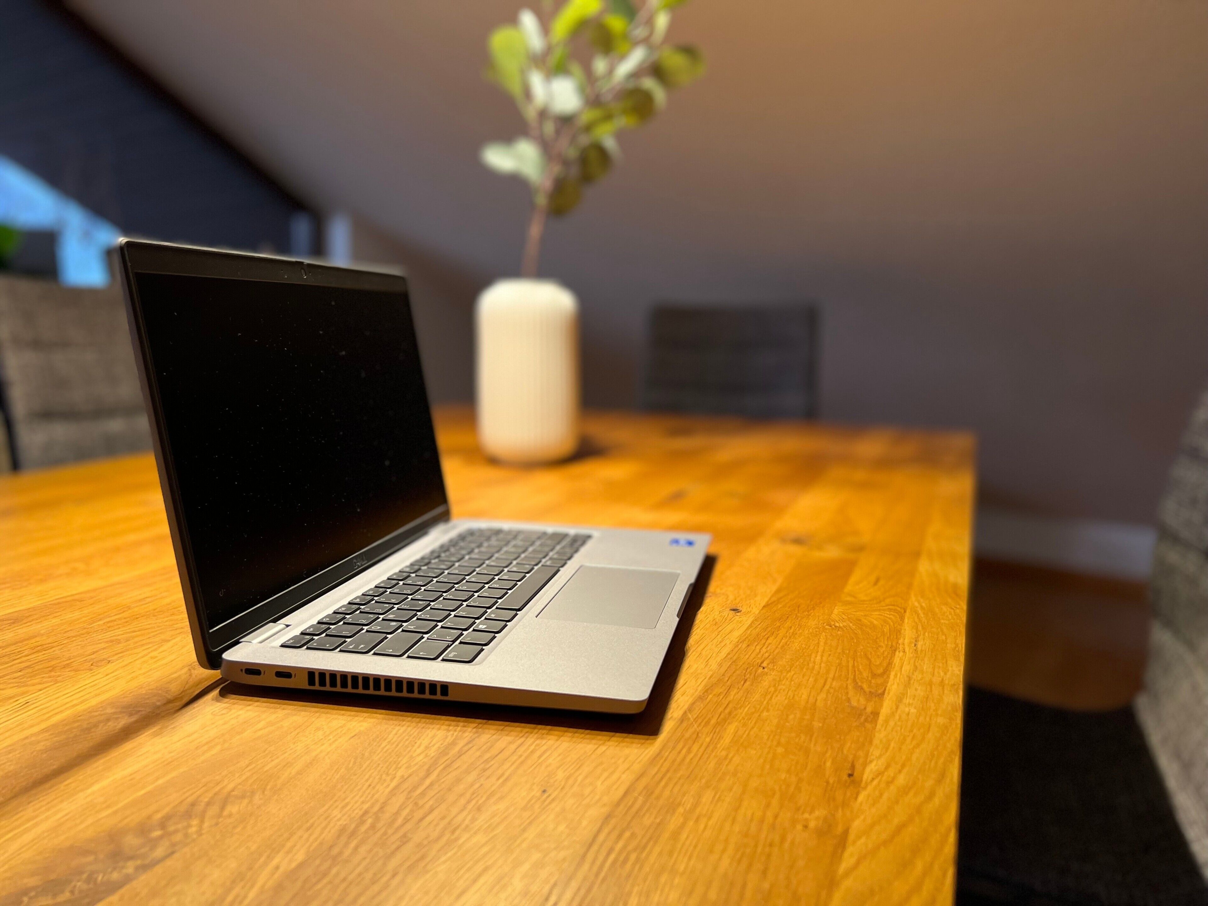 Un ordinateur portable est posé sur une table en bois, avec une plante en arrière-plan.