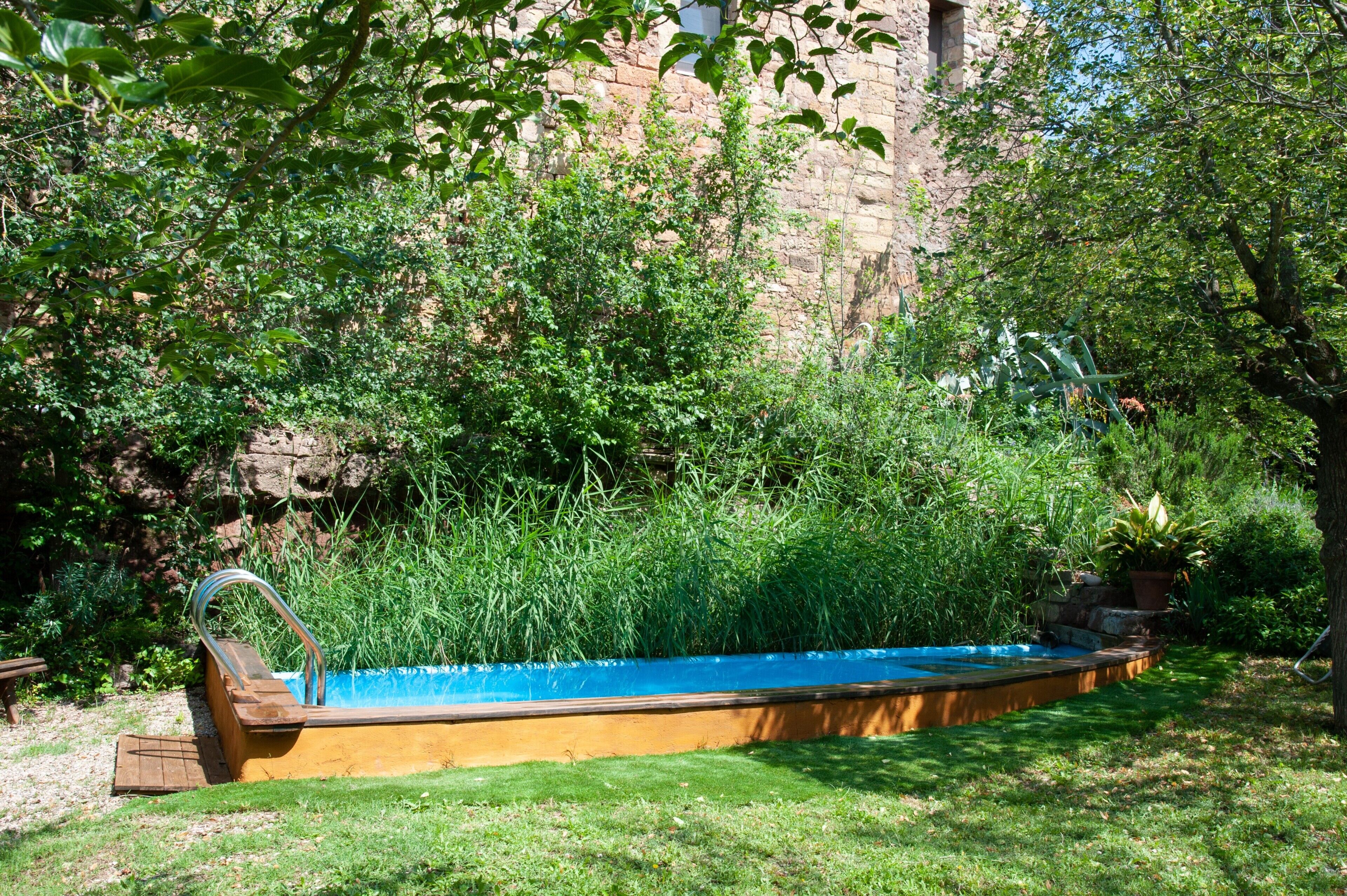 A swimming pool surrounded by lush greenery and a stone wall.