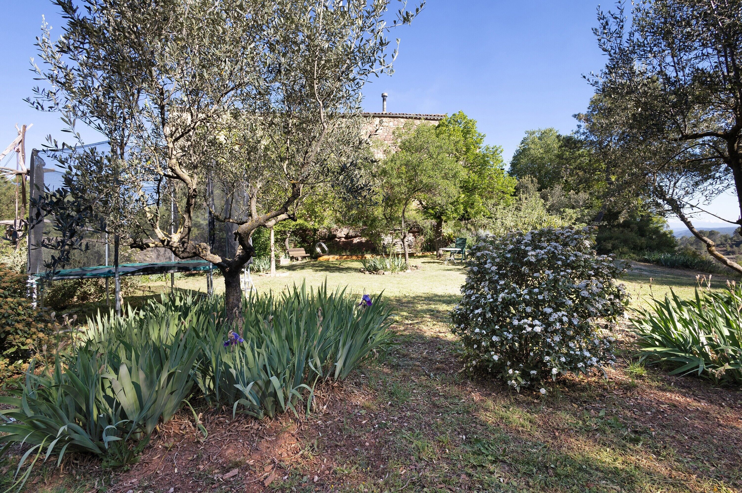 A garden with various plants, a bench, and a stone building in the background.