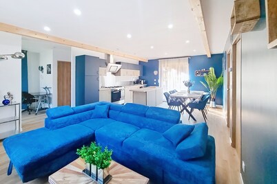 The Peregrine Falcon. Self-catering cottage, halfway between Lacs d'Orient and Lac du Der