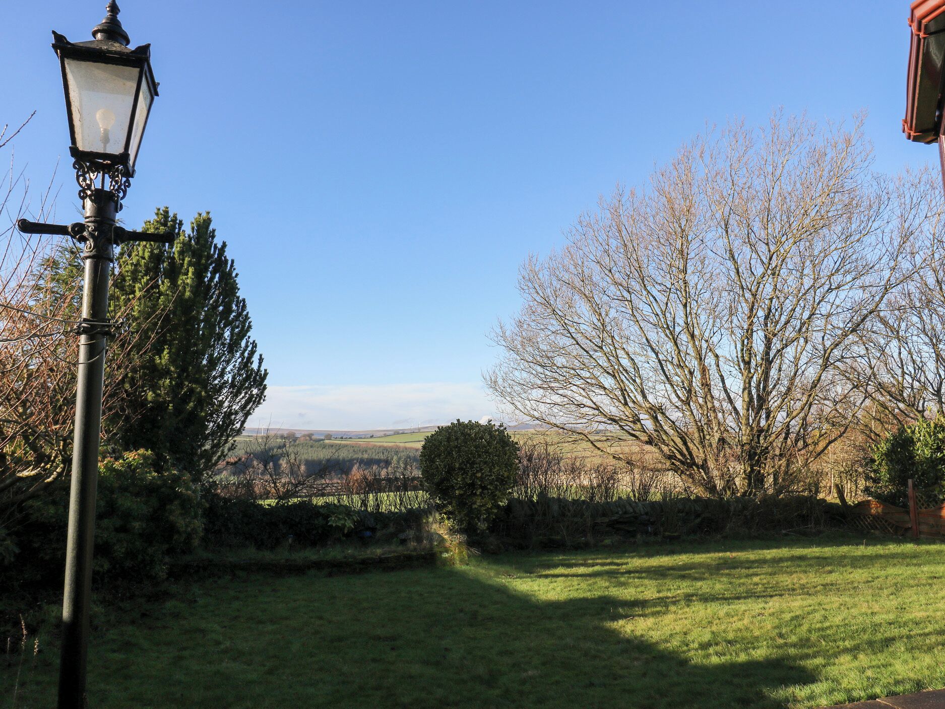 A clear view of a rural landscape with a lamp post, trees, and a stone wall.