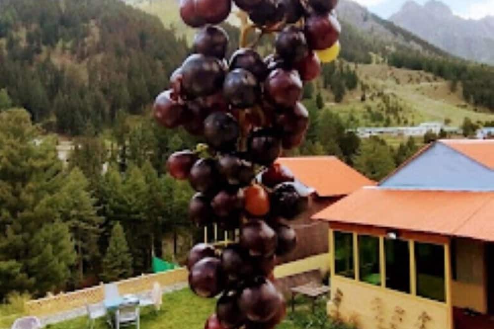 Naltar Continental hotel