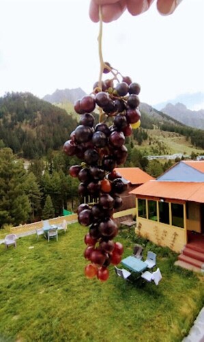 Naltar Continental hotel