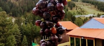 Naltar Continental hotel