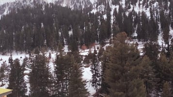 City view from property