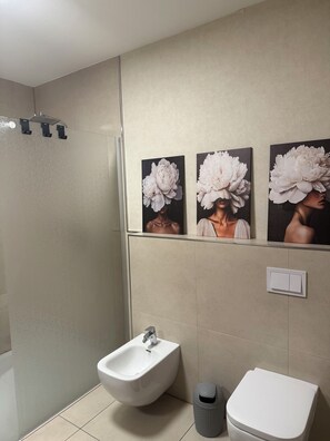 Shower, hair dryer, bidet, towels