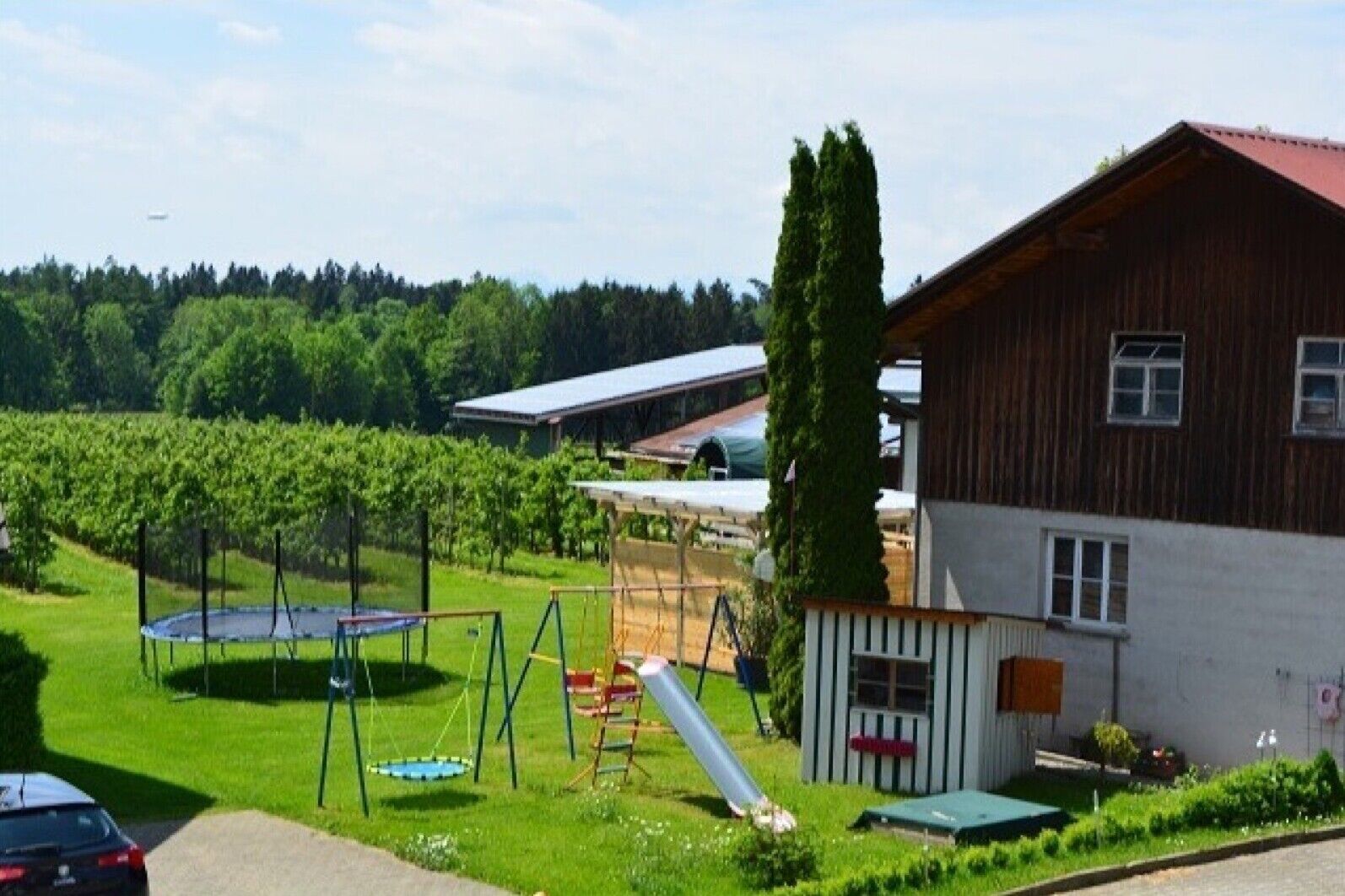 Parco della struttura