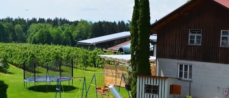 Parco della struttura