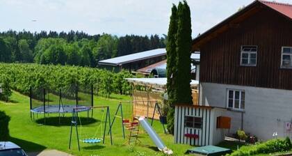 Appartement « Herbst » avec terrasse et jardin communs, Wi-Fi