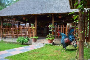 Bar junto a la piscina