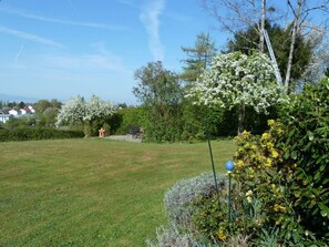 Property grounds - Panoramic Lake View, 40sqm, 1 Bedroom, 1 Living/Sleeping Room, up to 4 Guests (Wasserburg (Bodensee))