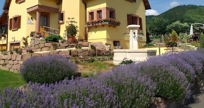 Chambre dâhĂŽtes « La ChĂątelaine - Pinot Blanc » avec vue montagne, terrasse partagĂ©e et Wi-Fi