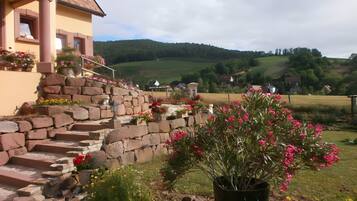 Áreas de la propiedad