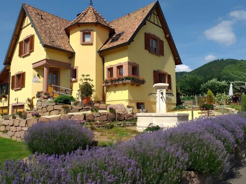 Guest Room 'La Châtelaine - Pinot Noir' with Mountain View, Shared Terrace & Wi-Fi