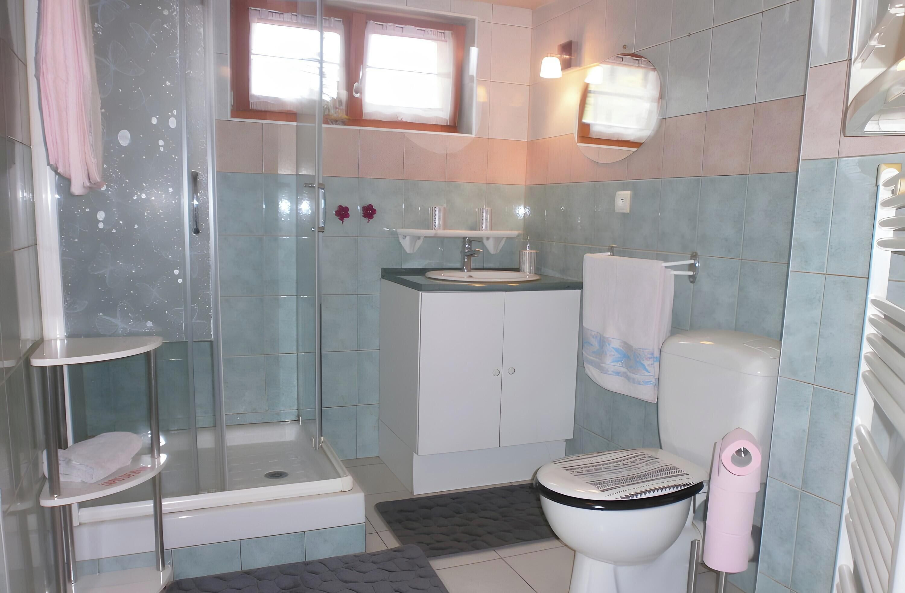 Shower, hair dryer, towels