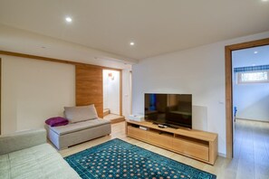 TV, fireplace, books