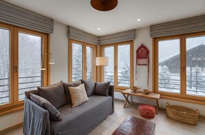 TV, fireplace, books