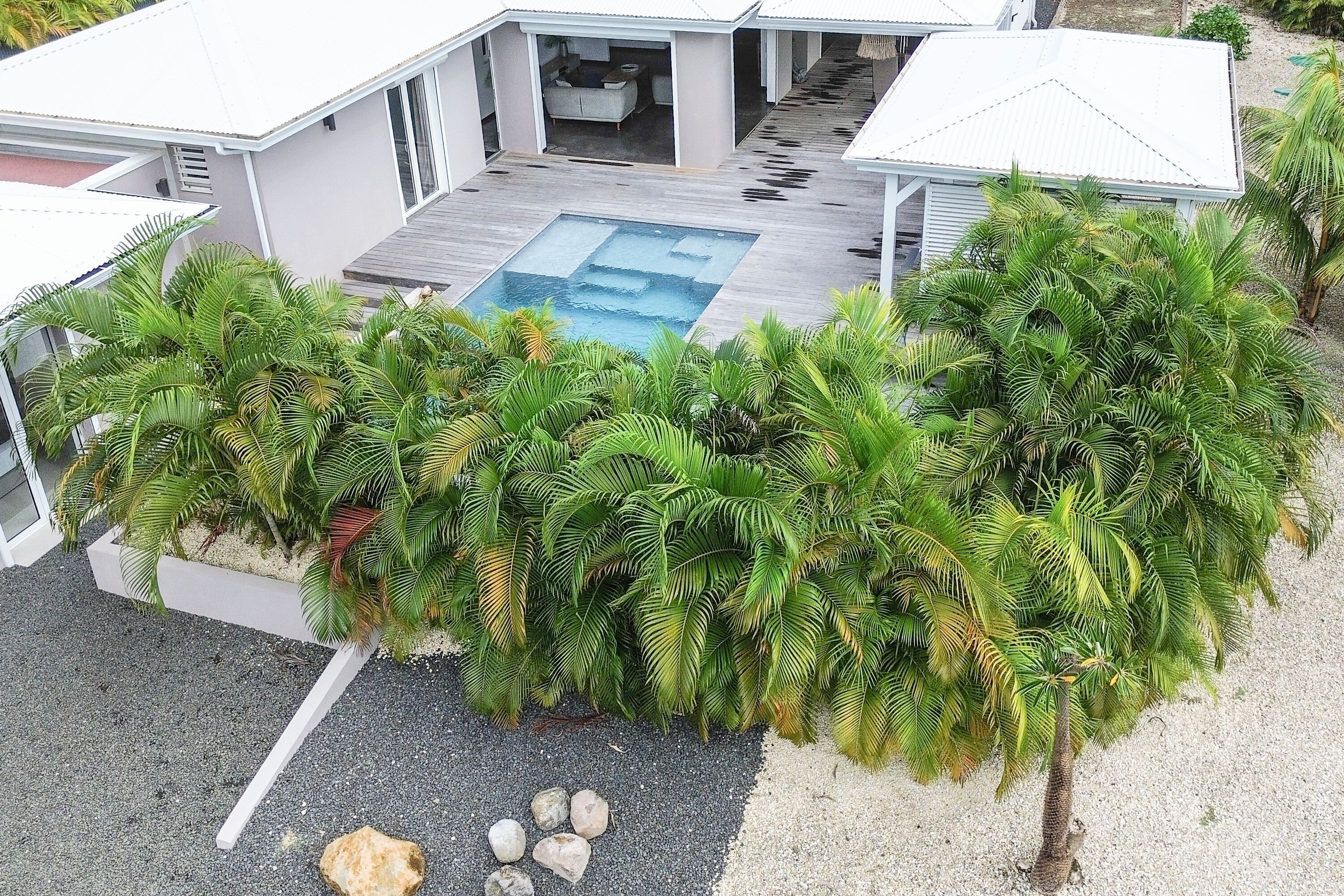 A modern house with a swimming pool, surrounded by lush greenery and palm trees.