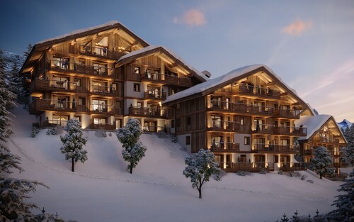 Les Chalets de L'Aiguille B101