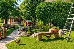 Un jardin avec un banc en bois, une échelle et un petit étang.