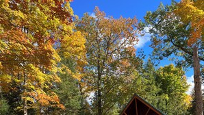 Eine rustikale Holzhütte mit einer Holzterrasse und einem kleinen Schuppen in bewaldeter Landschaft.