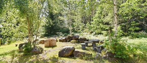 Terrein van de accommodatie