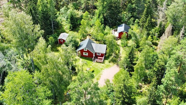 A red cabin surrounded by dense forest, with a clear path leading to it.