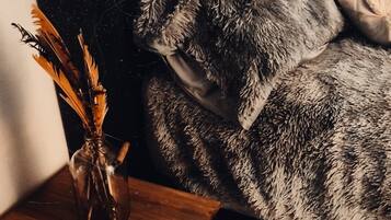 Ilmainen Wi-Fi, vuodevaatteet