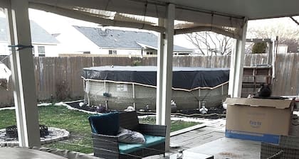 The Wandering Viking