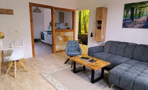Smart TV, books, video library - Smart vacation apartment 80sqm with sauna in historic building Ballenstedt in the Harz Mountains (Ballenstedt)