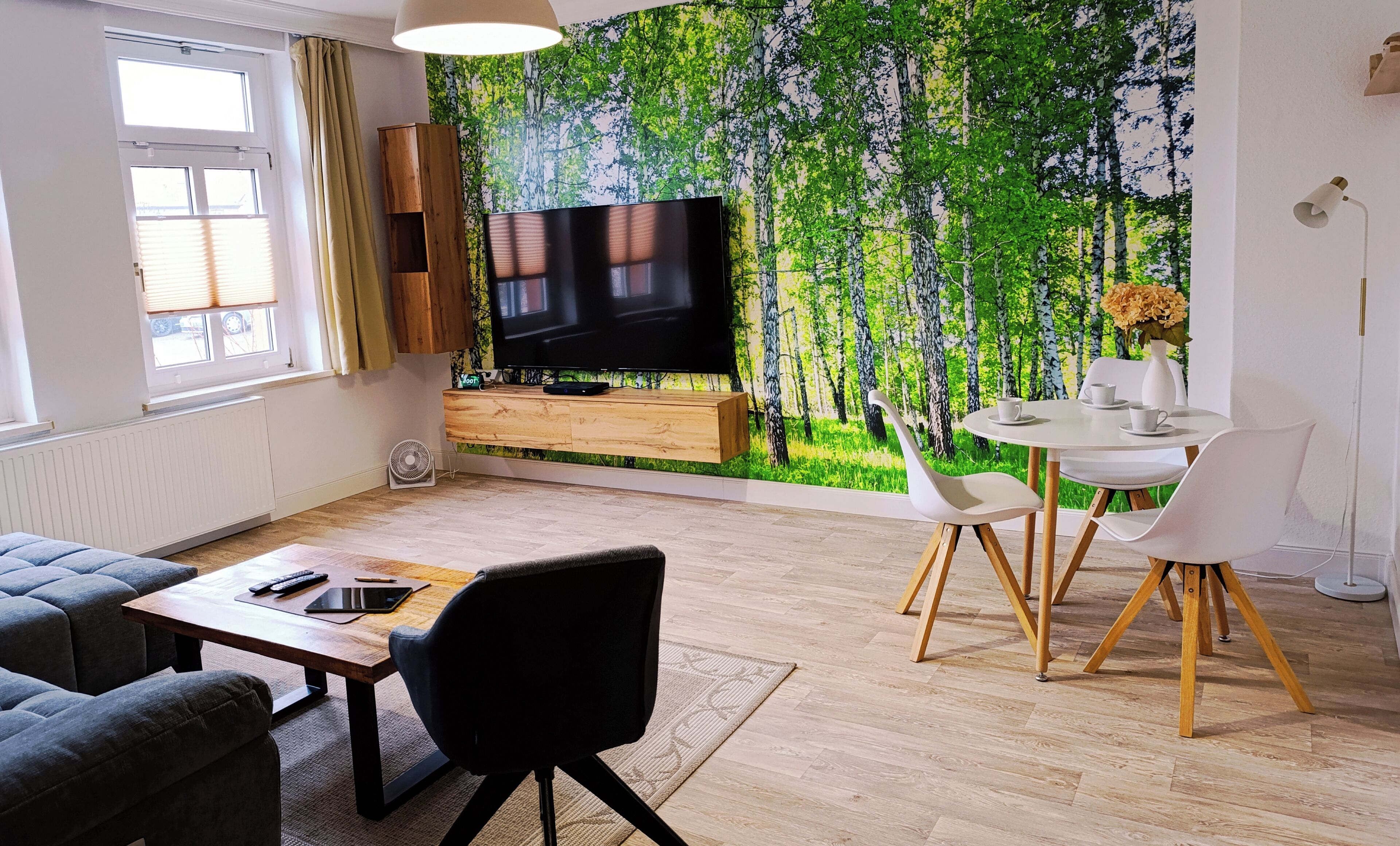 Smart TV, books, video library