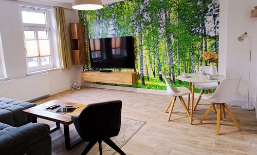 Smarte Ferienwohnung 80qm mit Sauna im historischem Gebäude  Ballenstedt im Harz