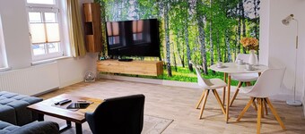 Smart vacation apartment 80sqm with sauna in historic building Ballenstedt in the Harz Mountains