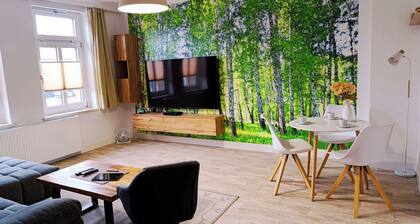 Smarte Ferienwohnung 80qm mit Sauna im historischem Gebäude Ballenstedt im Harz