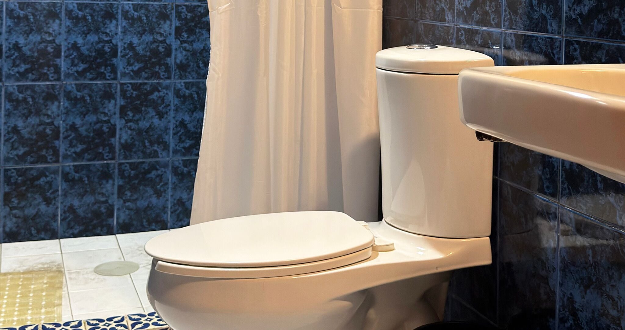 Un bagno con una tazza e serbatoio bianchi, una tenda da doccia e piastrelle blu decorate a parete.