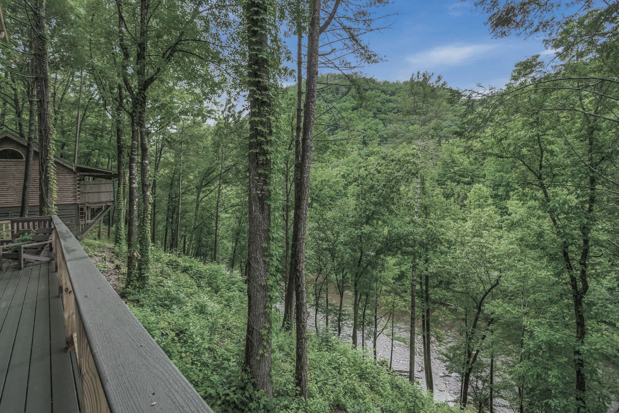 Une cabane en bois dotée d’une terrasse, entourée d’une forêt dense et bordée par une rivière.