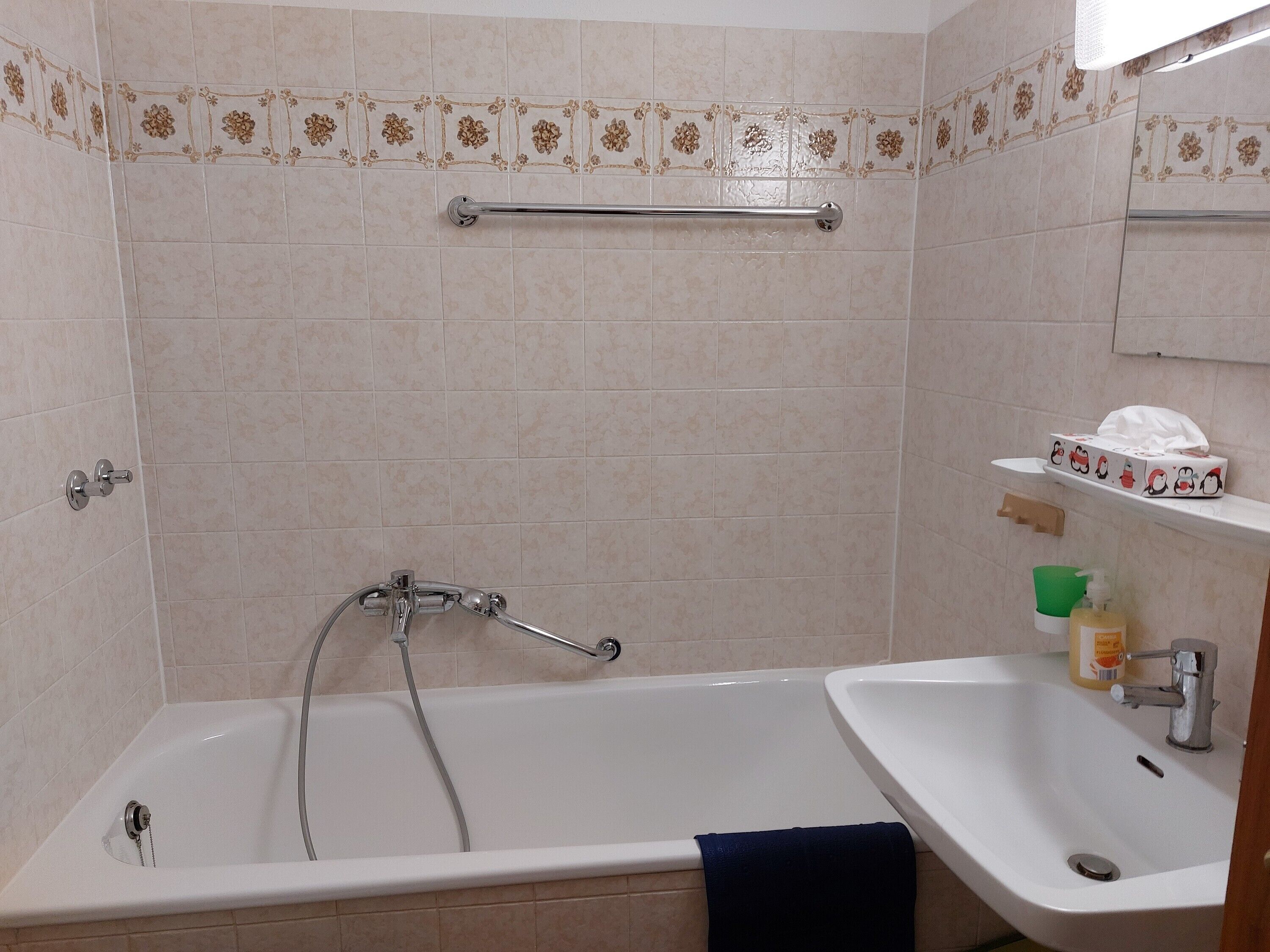 Dusche, Haartrockner, Handtücher