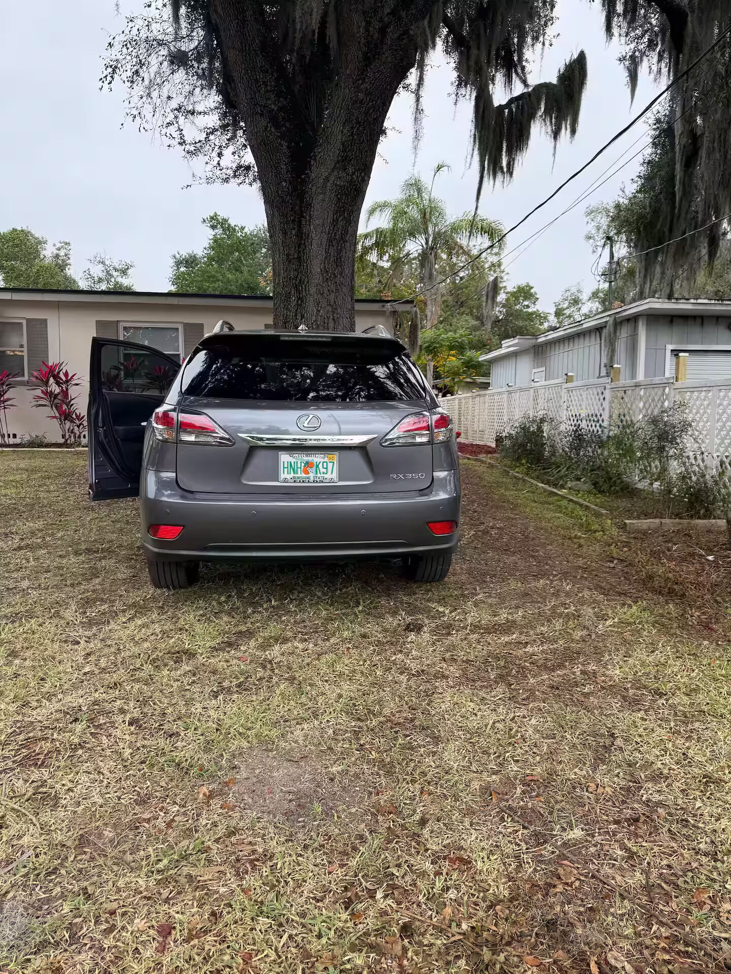 Ein grauer Lexus RX350 steht auf einer Rasenfläche, im Hintergrund ein großes Baum und ein Haus.
