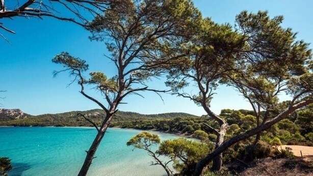 Paisagem costeira com águas turquesa cristalinas, praia arenosa e densa vegetação de pinheiros.