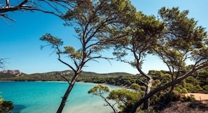 A coastal landscape with clear turquoise waters, sandy beach, and dense pine trees. - STUDIO CABIN ON THE WATERFRONT, OCEAN VIEW, SWIMMING POOL, BEACH, TENNIS, PARKING (Bormes-les-Mimosas)