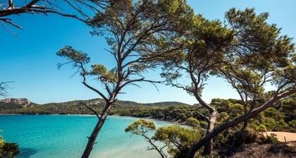 STUDIO CABIN WATERFRONT RESIDENCE, SEA VIEW SWIMMING POOL BEACH TENNIS PARKING LOT