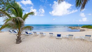 Uma praia com cadeiras de praia brancas e uma palmeira.