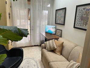 TV, fireplace - 2 floor townhouse w patio & yard, luxury amenities (Albany)