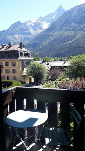Property grounds - Charmin Savoy - lovely 1 bedroom apartment next to Savoy ski area (Chamonix-Mont-Blanc)