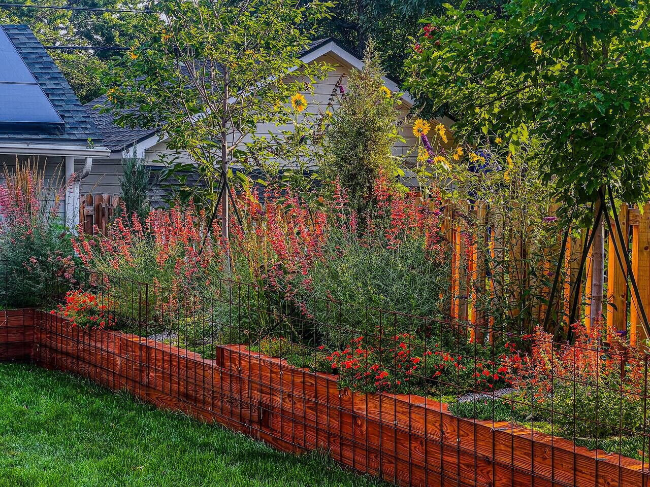 Terrein van de accommodatie