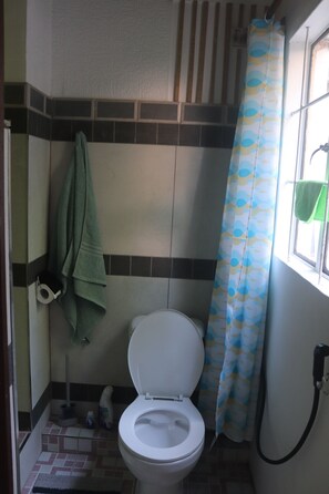 Shower, hair dryer, towels, soap - Chantilla Vie, near Trou aux Biches beach, Mauritius (Trou aux Biches)
