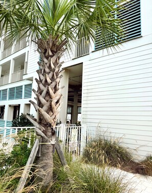 Exterior detail - NEW Condo • Low Rise Complex • Balcony • Pool & Ocean Views • Walk to Hangout (Gulf Shores)