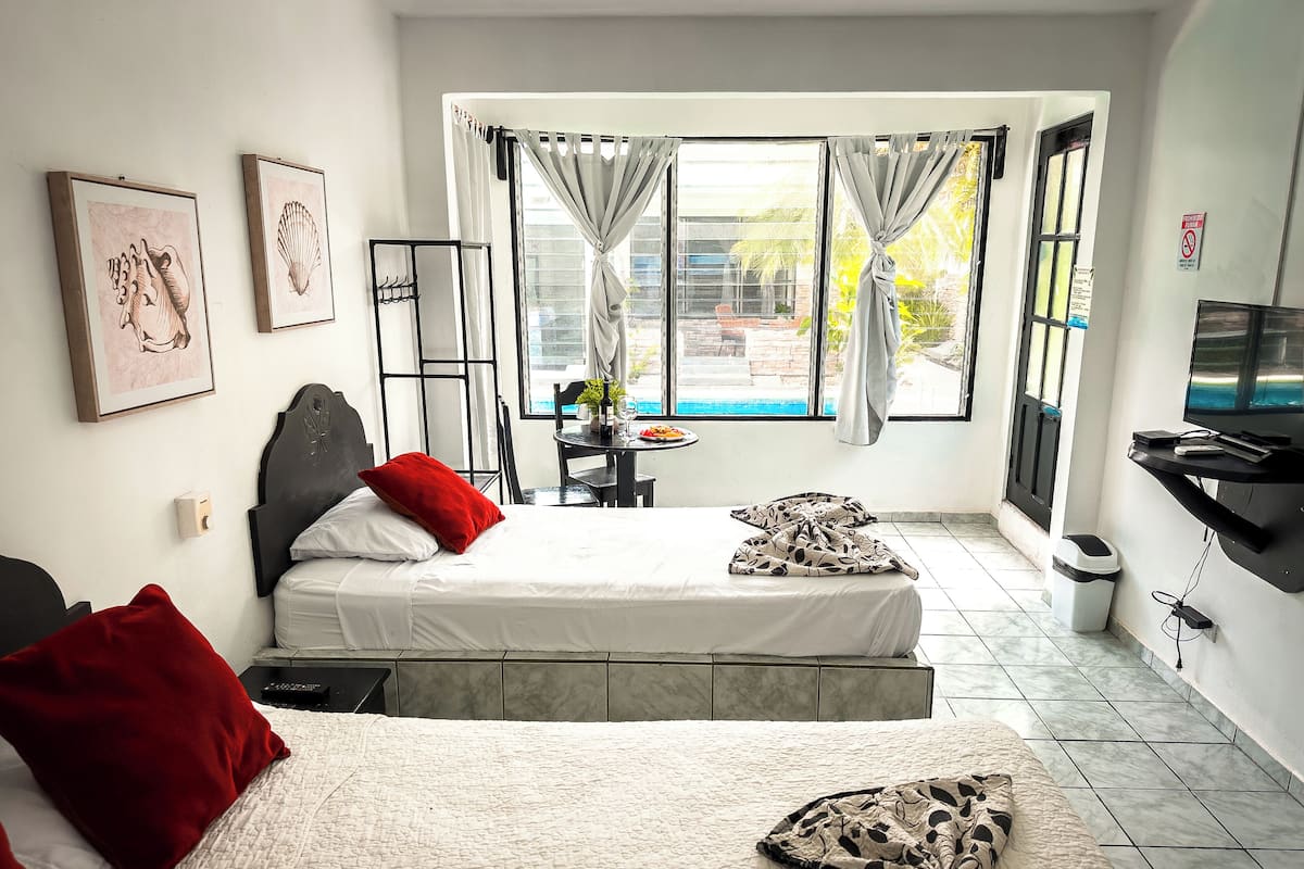 A hotel room with two beds, a TV, a small table with a plant, and a window with curtains.