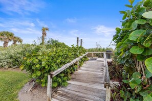 Property grounds - Shorehom by the Sea 63 (New Smyrna Beach)